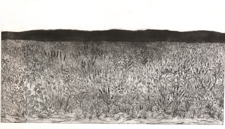 Ewa Ziembicka - Łąka, 100x70 intaglio, 2022
