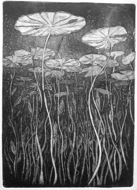 Ewa Ziembicka - Nenufary, intaglio, 2018