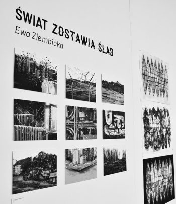 Ewa Ziembicka Wystawa Świat zostawia ślad Galeria Neon, 2022